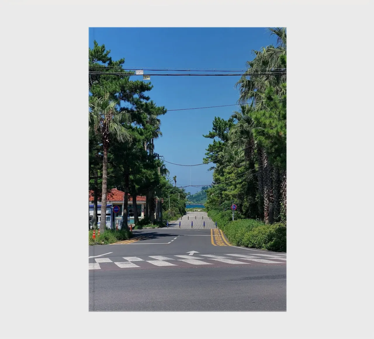 Beach notebook by State of Milk