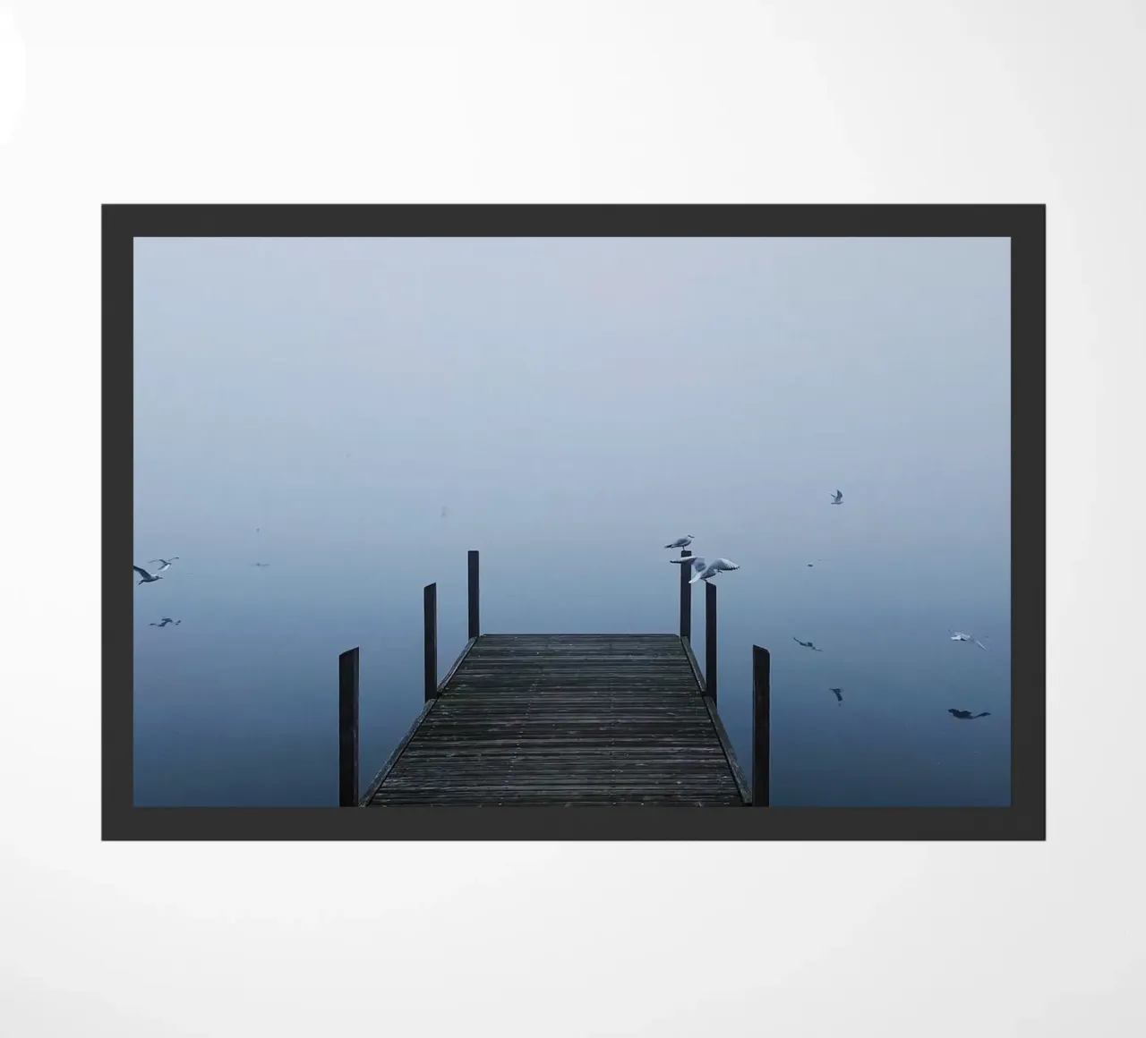 Misty zerbino da State of Milk