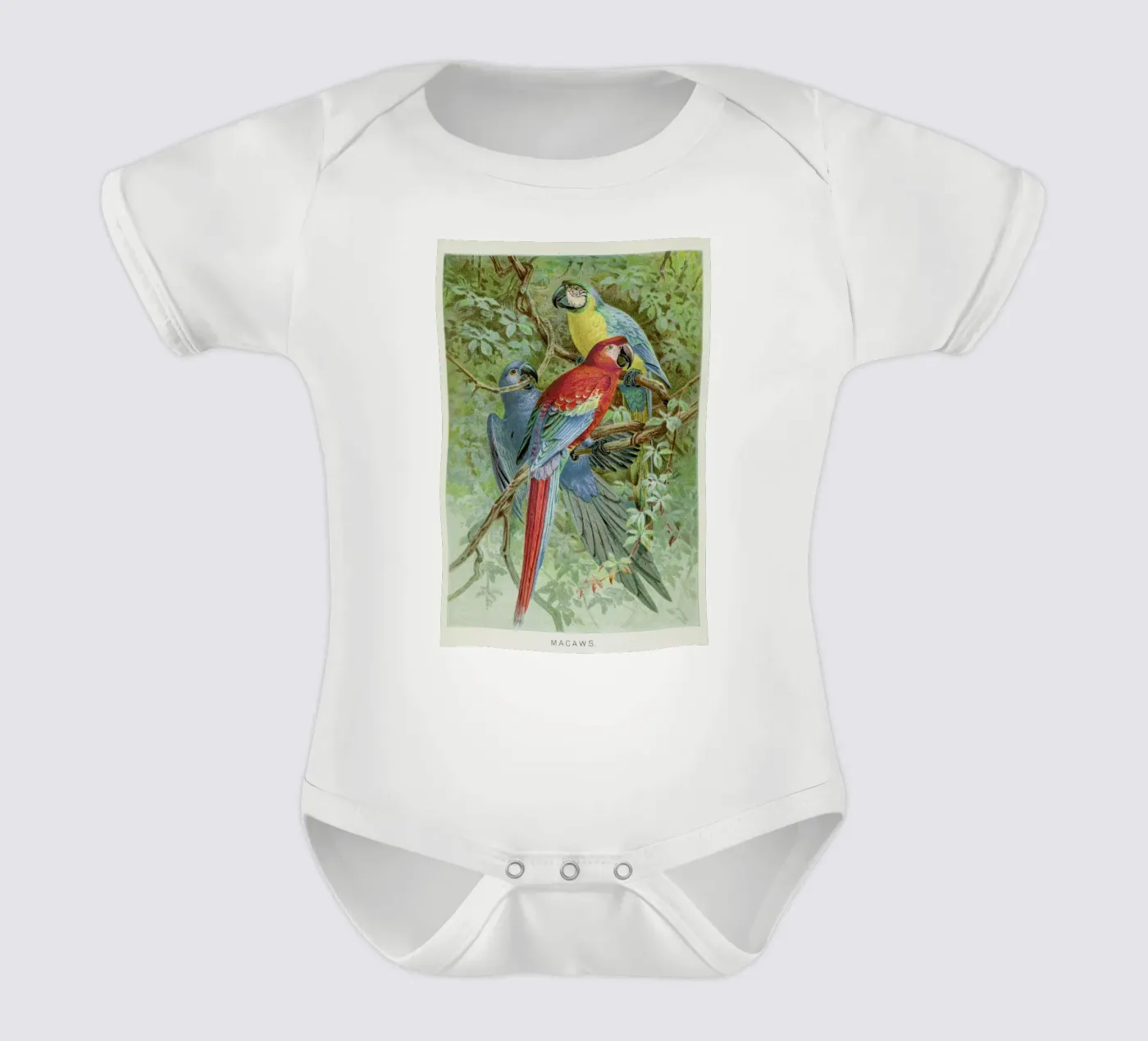 Macaws body bébé de Flora & Fauna