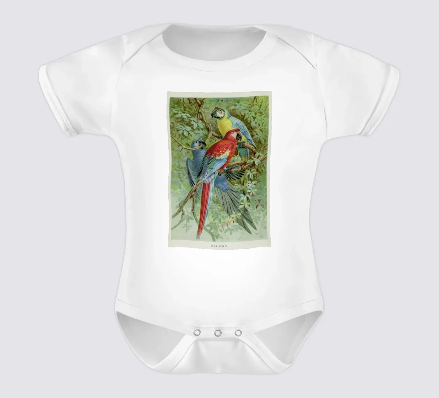 Macaws body bébé de Flora & Fauna