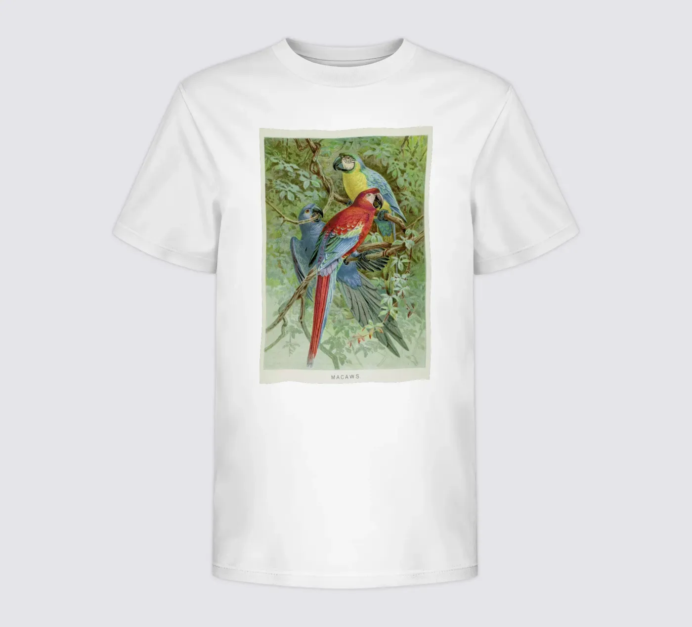 Macaws t-shirt bambini da Flora & Fauna