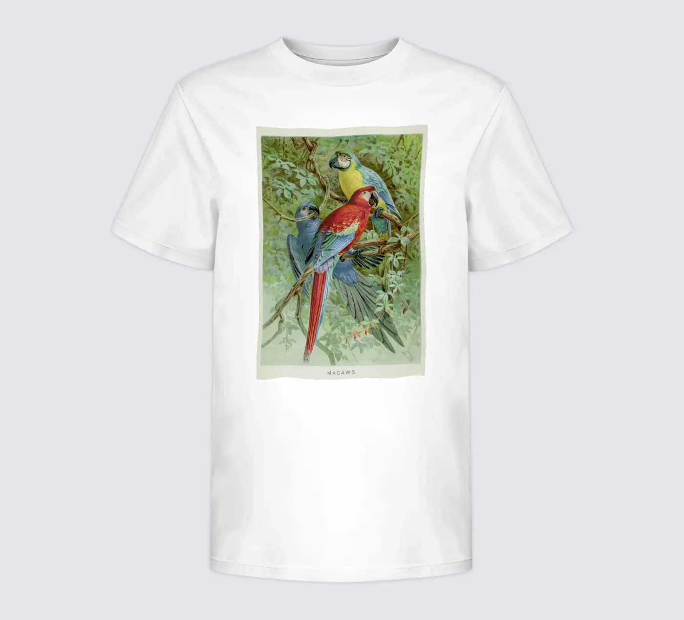 Macaws t-shirt bambini da Flora & Fauna