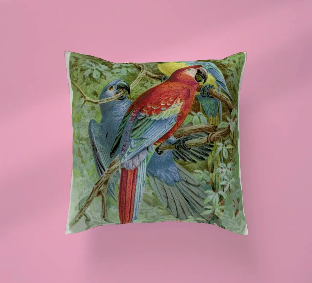 Macaws cuscino da Flora & Fauna