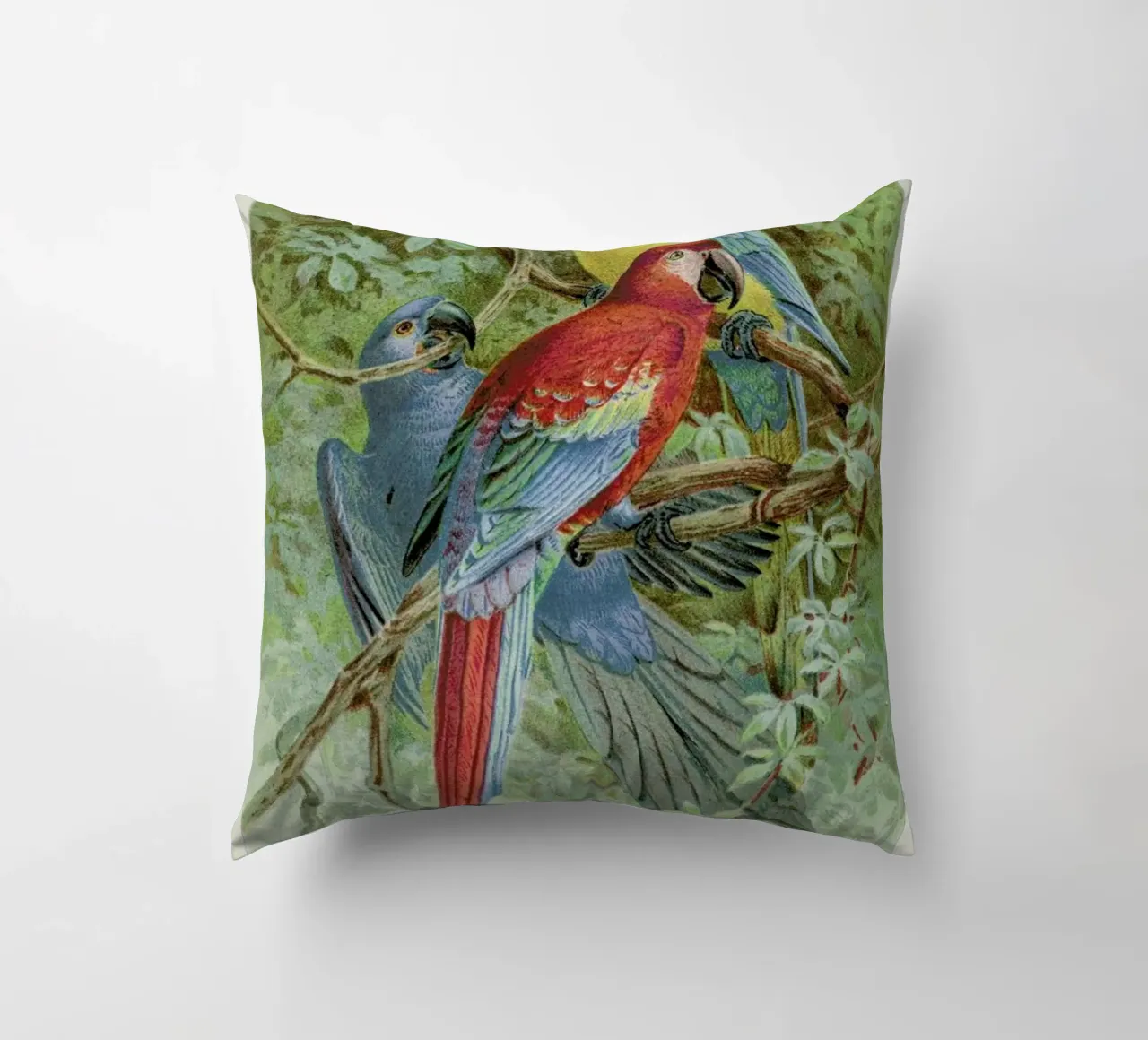 Macaws cuscino da Flora & Fauna