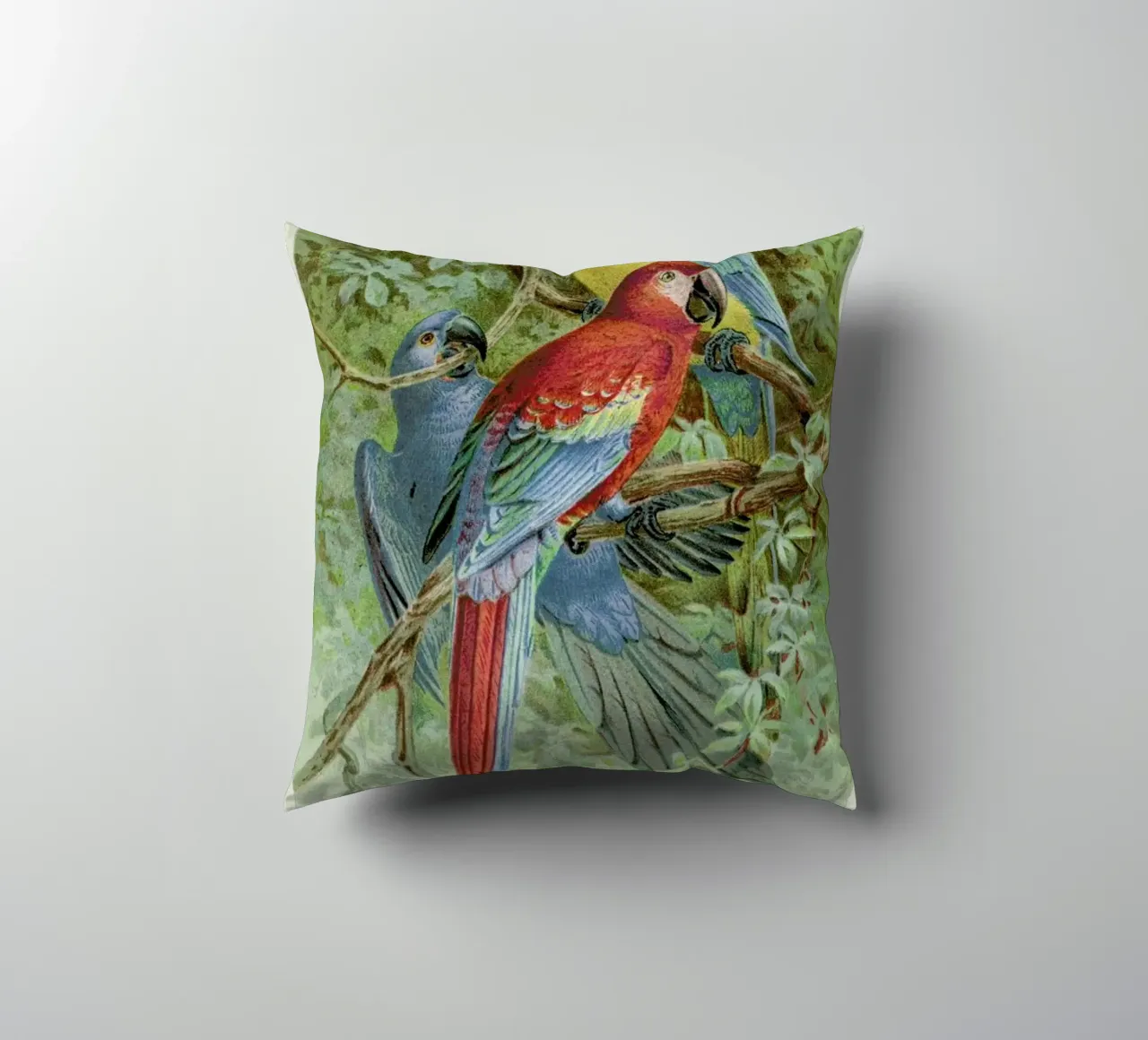 Macaws cuscino da Flora & Fauna