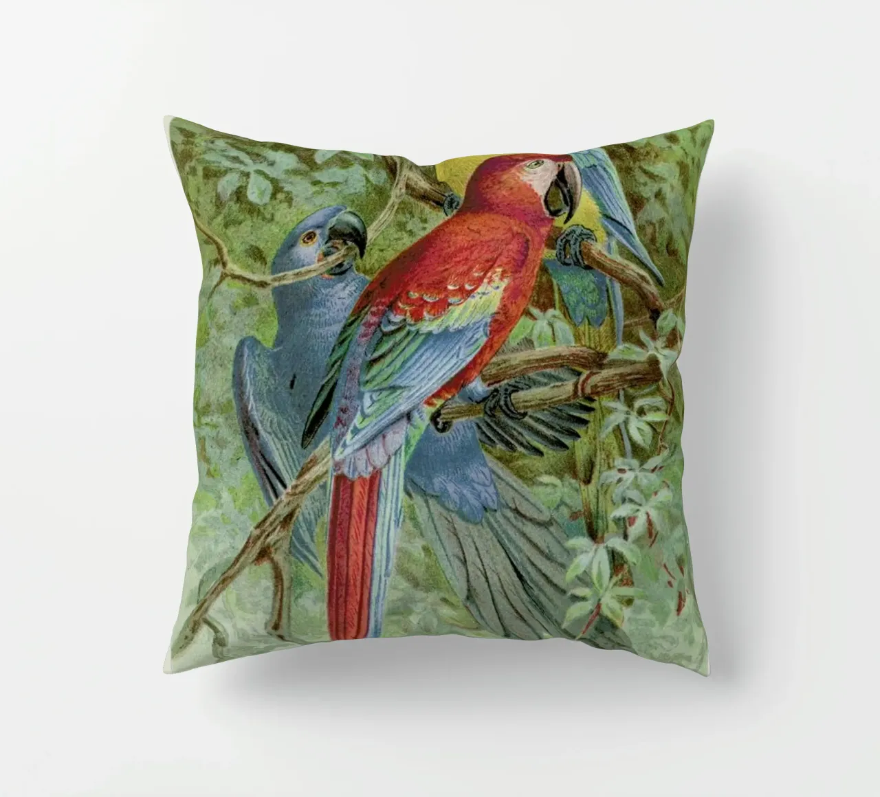 Macaws cuscino da Flora & Fauna