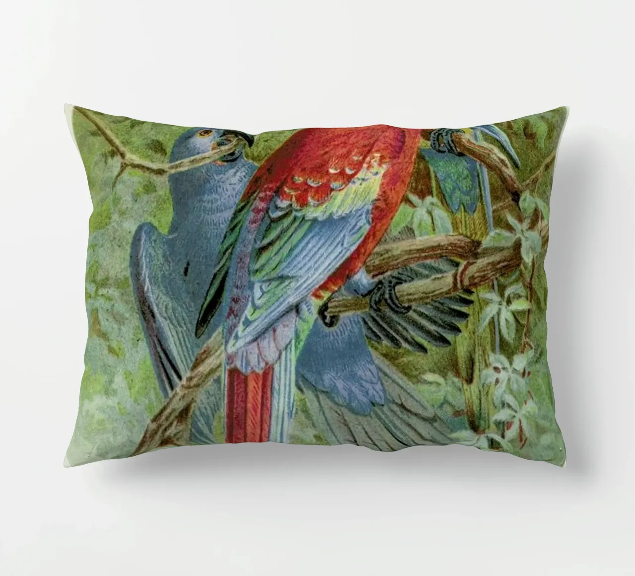 Macaws cuscino da Flora & Fauna