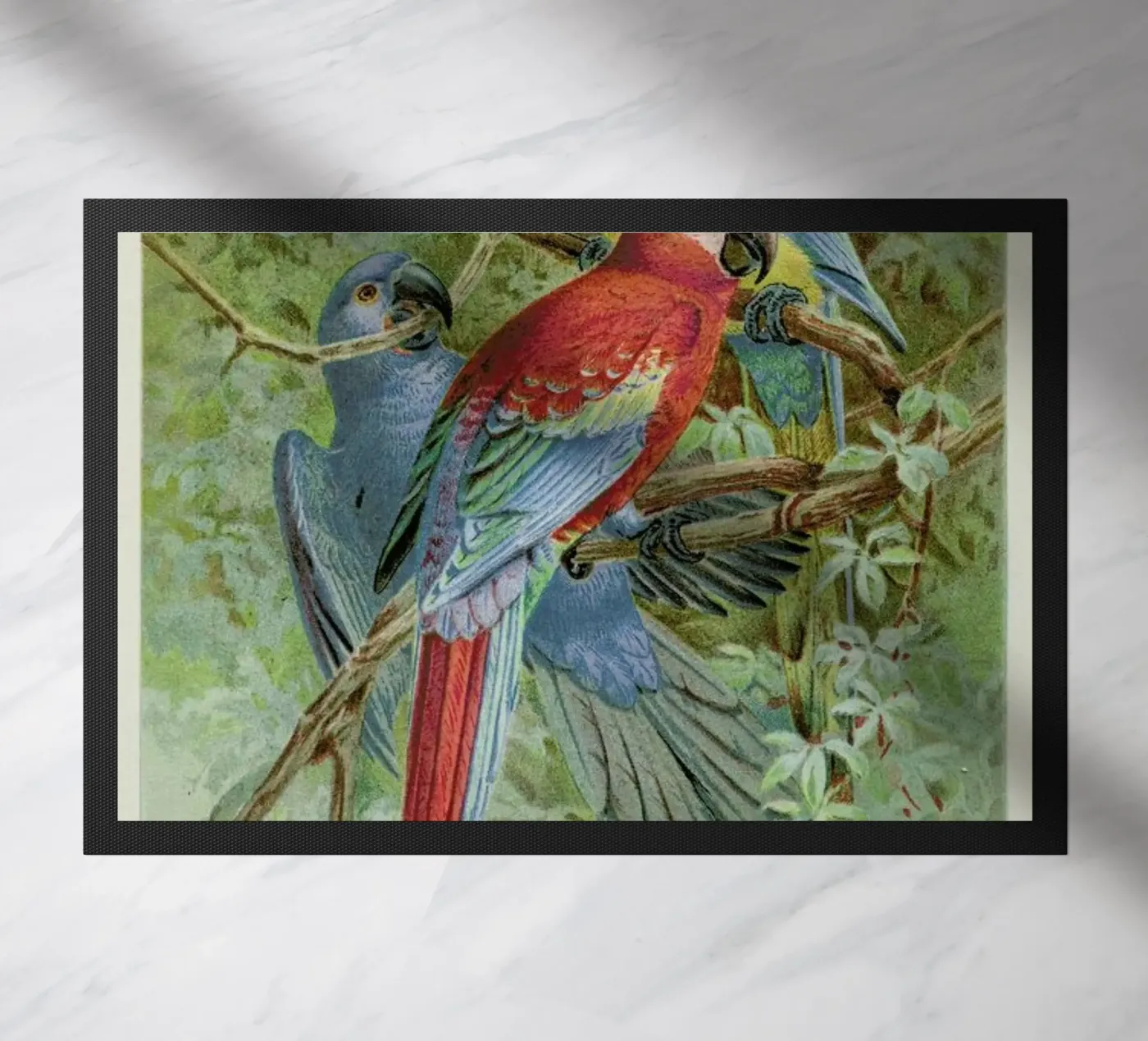 Macaws Fußmatte von Flora & Fauna