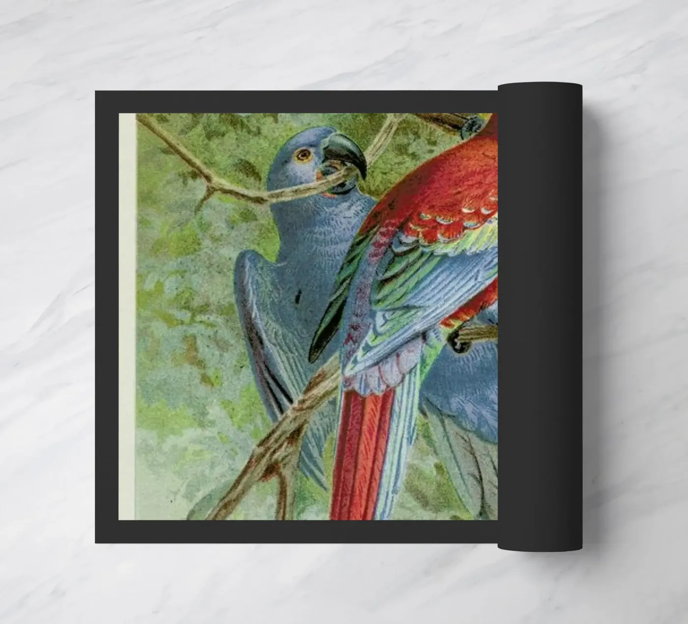 Macaws Fußmatte von Flora & Fauna