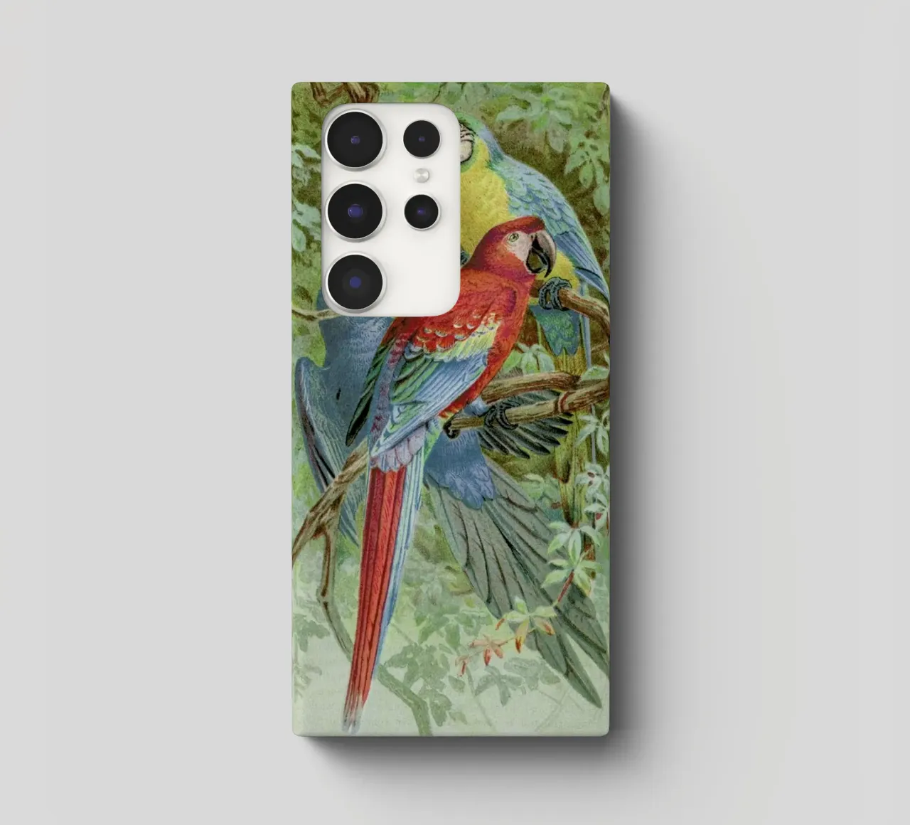 Macaws cover samsung da Flora & Fauna