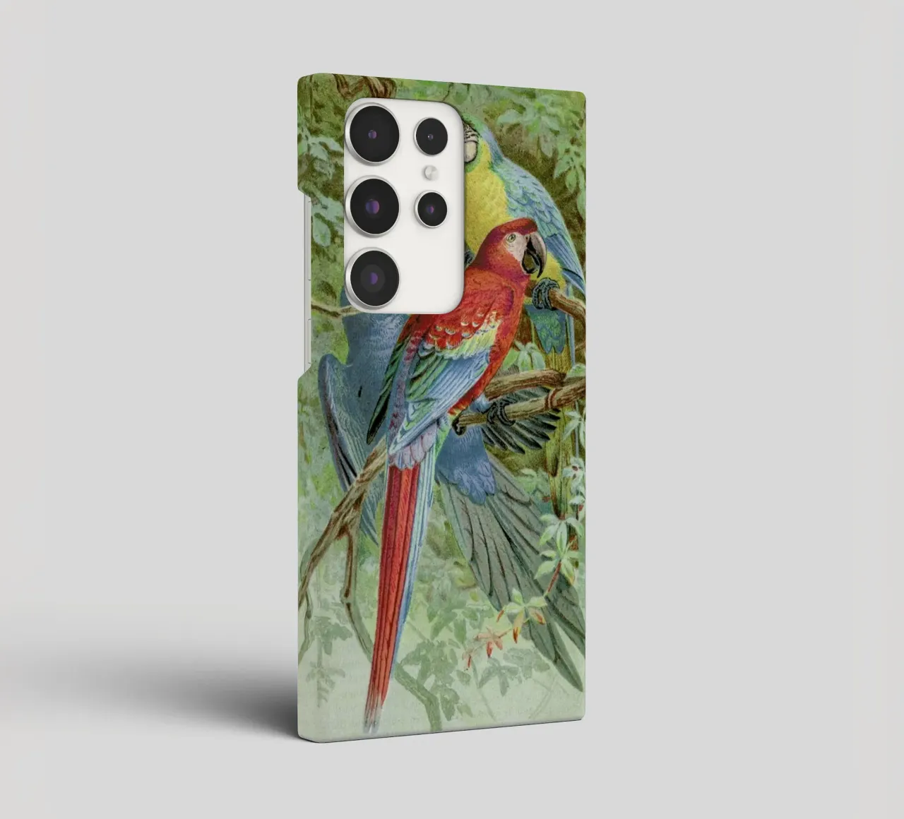 Macaws cover samsung da Flora & Fauna