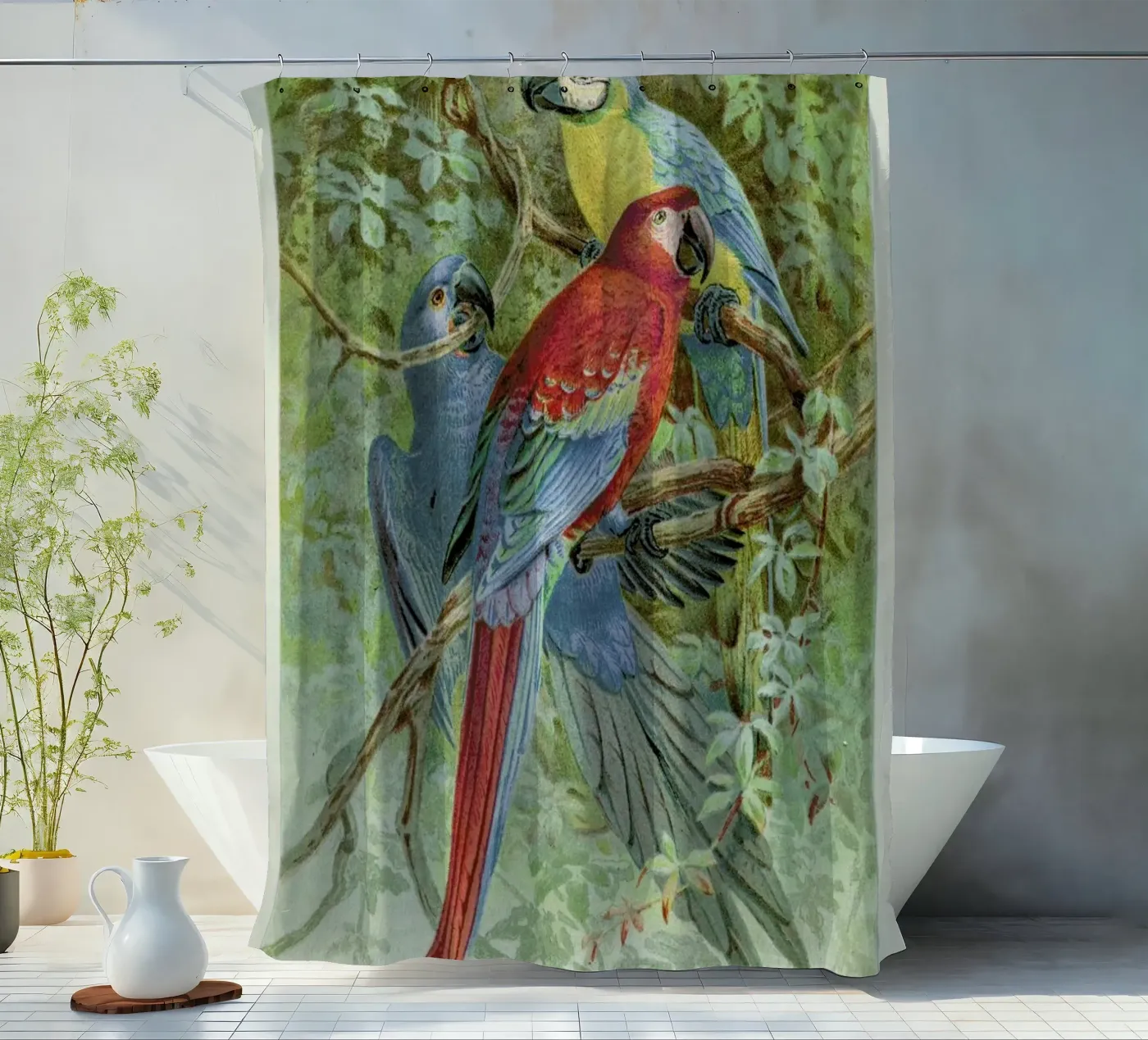 Macaws shower curtain by Flora & Fauna
