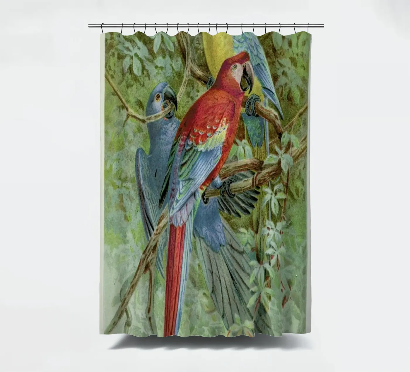 Macaws shower curtain by Flora & Fauna