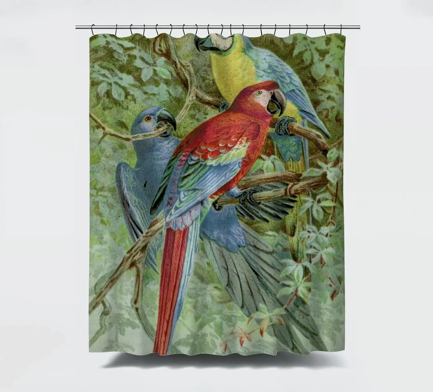 Macaws shower curtain by Flora & Fauna