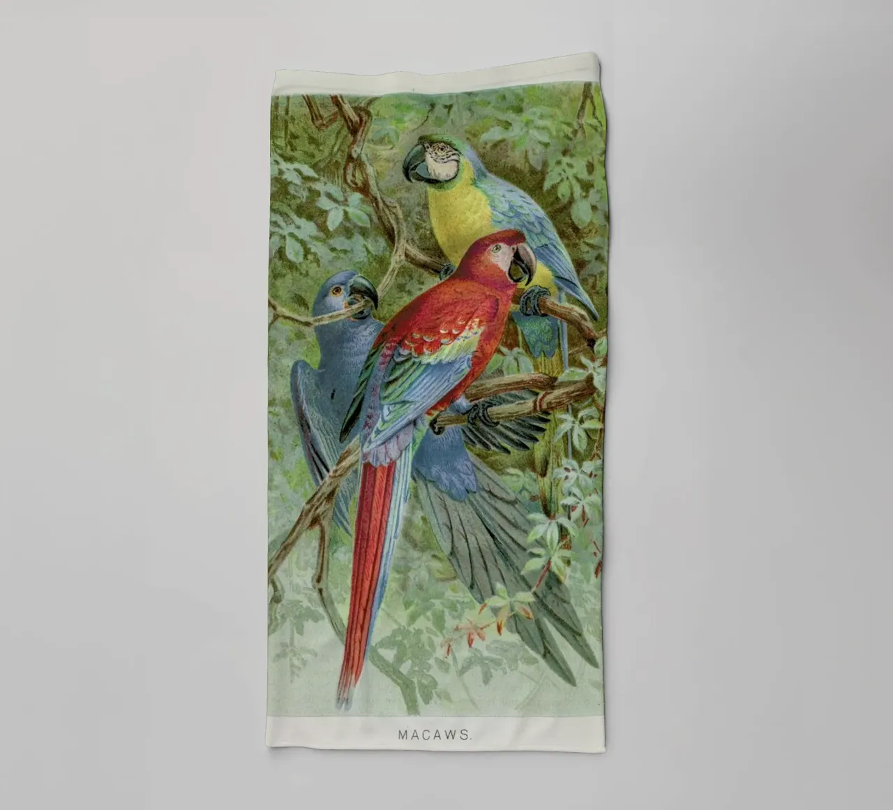 Macaws towel by Flora & Fauna