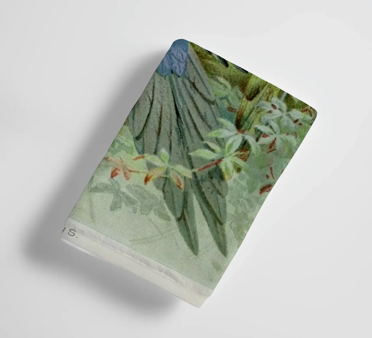 Macaws towel by Flora & Fauna