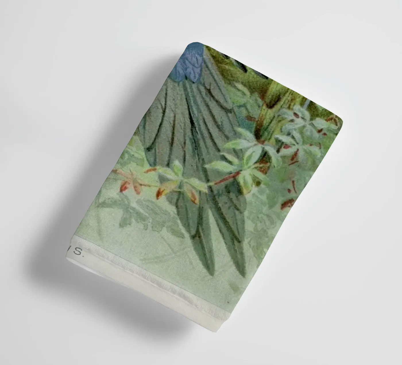 Macaws badhanddoek van Flora & Fauna