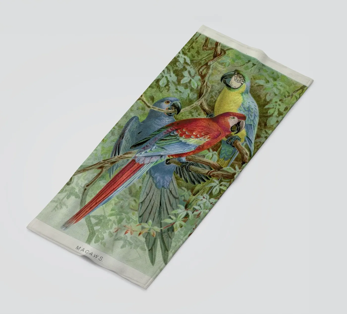 Macaws serviette de plage de Flora & Fauna