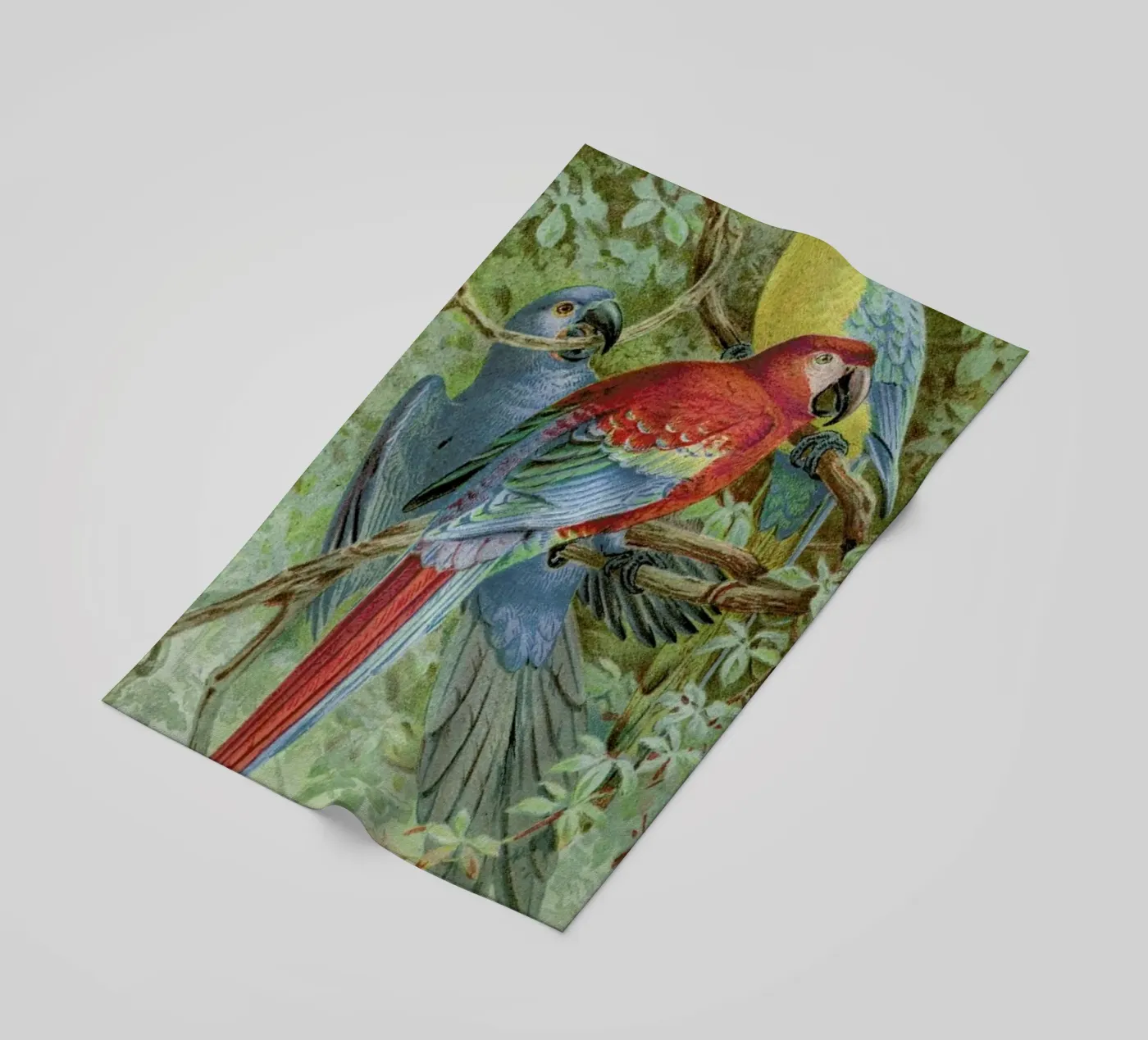 Macaws serviette de plage de Flora & Fauna