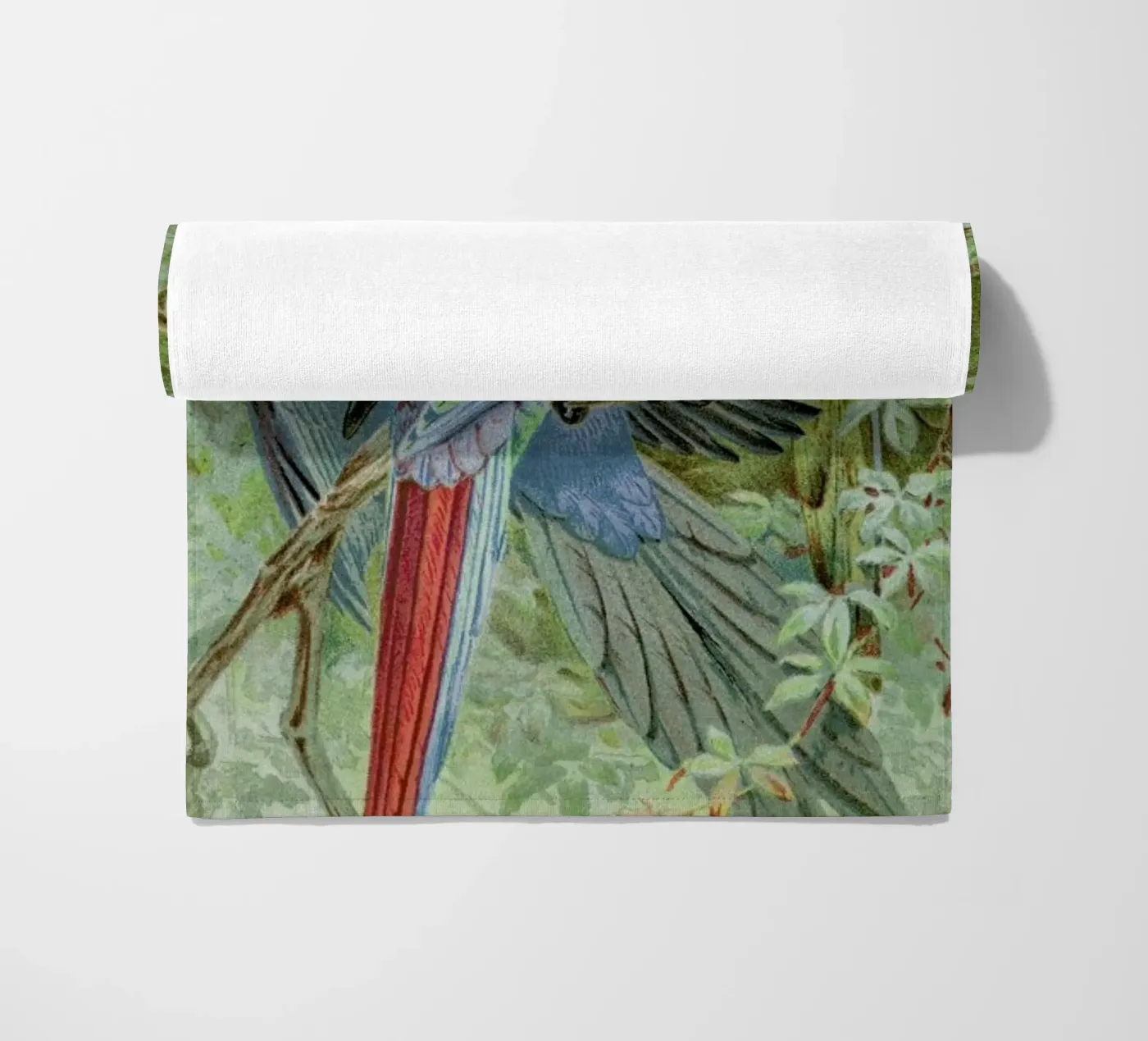 Macaws serviette de plage de Flora & Fauna