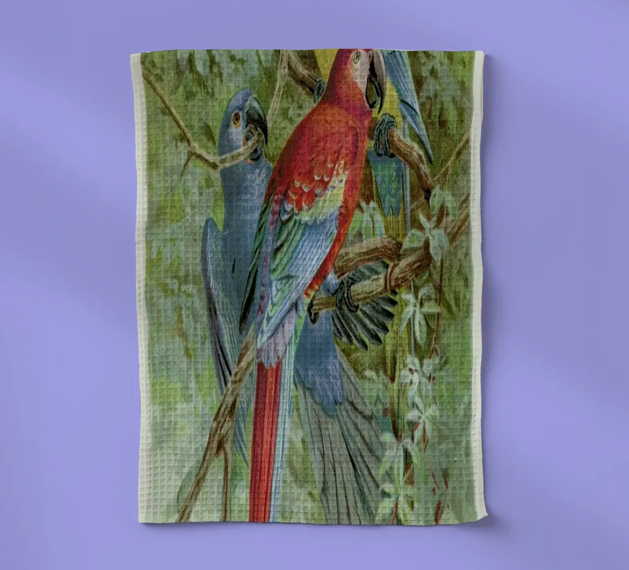 Macaws Geschirrtuch von Flora & Fauna