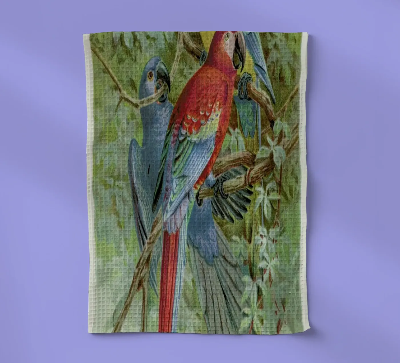 Macaws torchon de Flora & Fauna