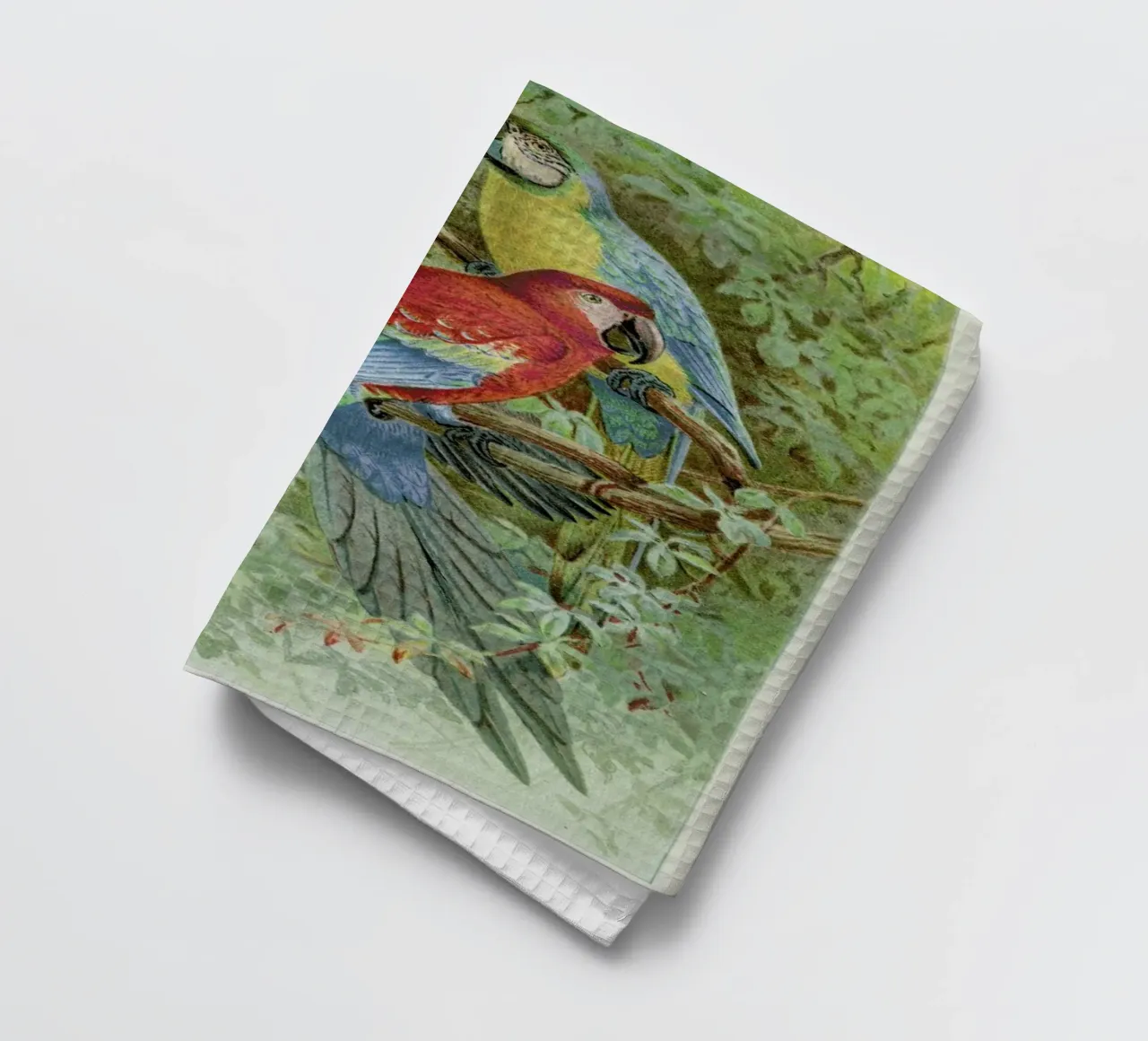 Macaws Geschirrtuch von Flora & Fauna