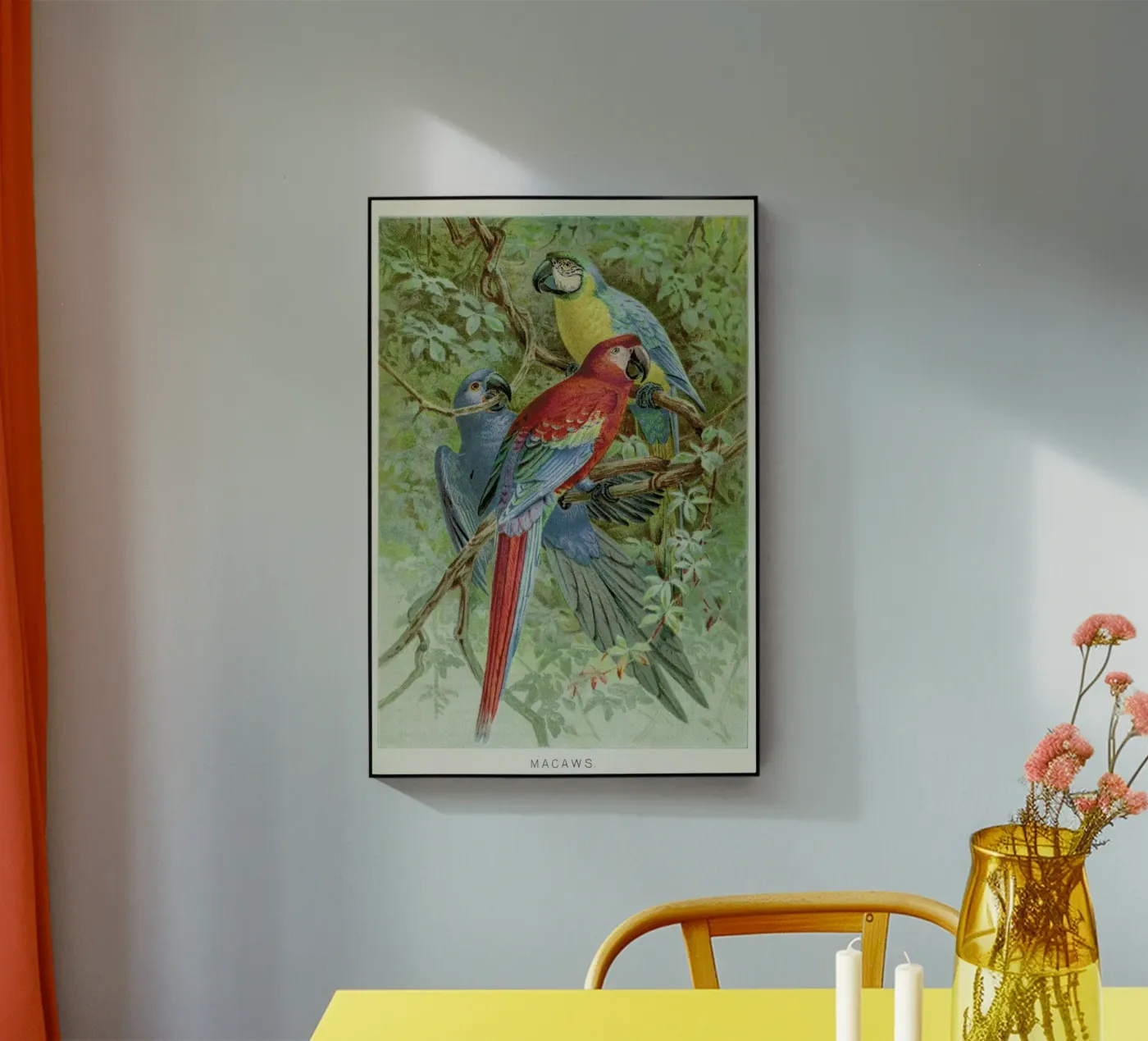 Macaws acryl van Flora & Fauna