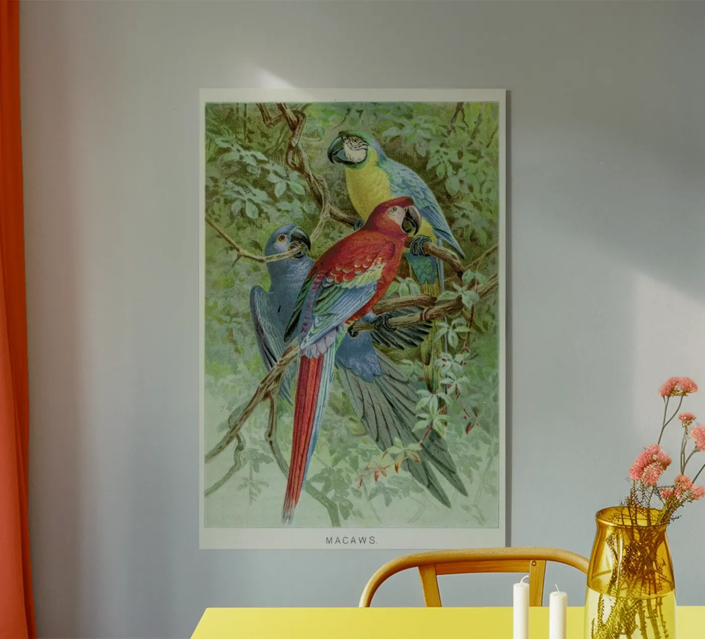 Macaws acryl van Flora & Fauna