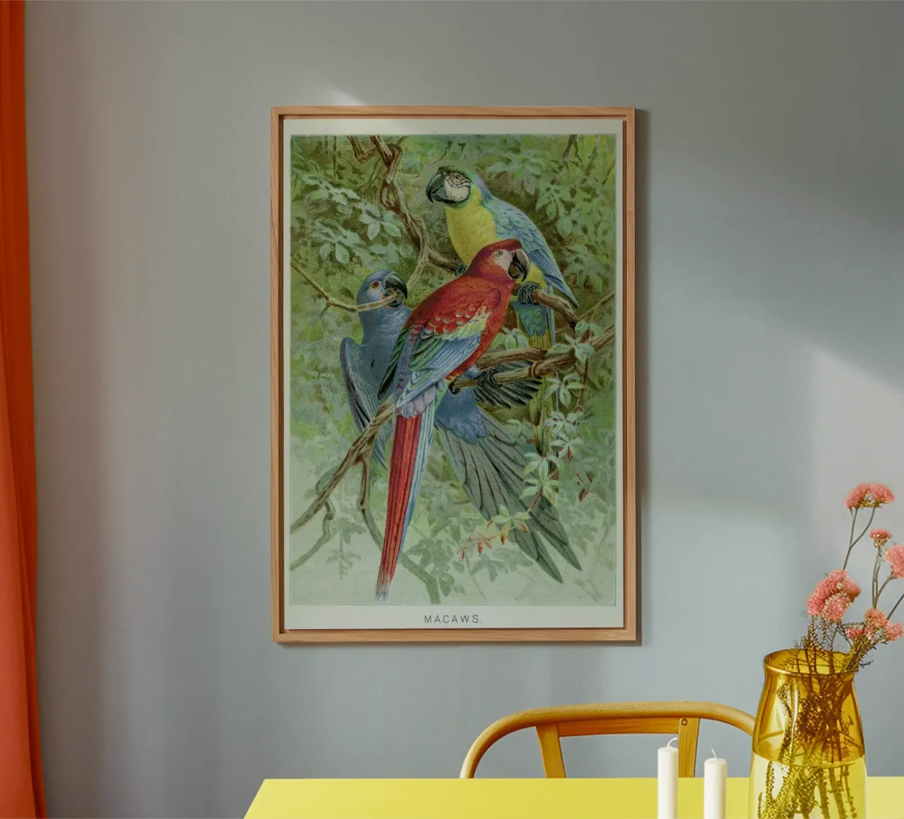 Macaws alluminio dibond da Flora & Fauna