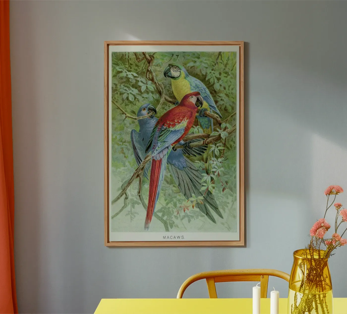 Macaws forex-plaat van Flora & Fauna