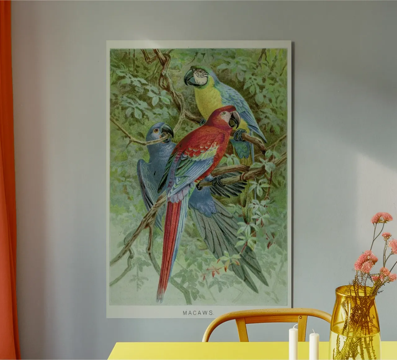 Macaws pannello forex da Flora & Fauna