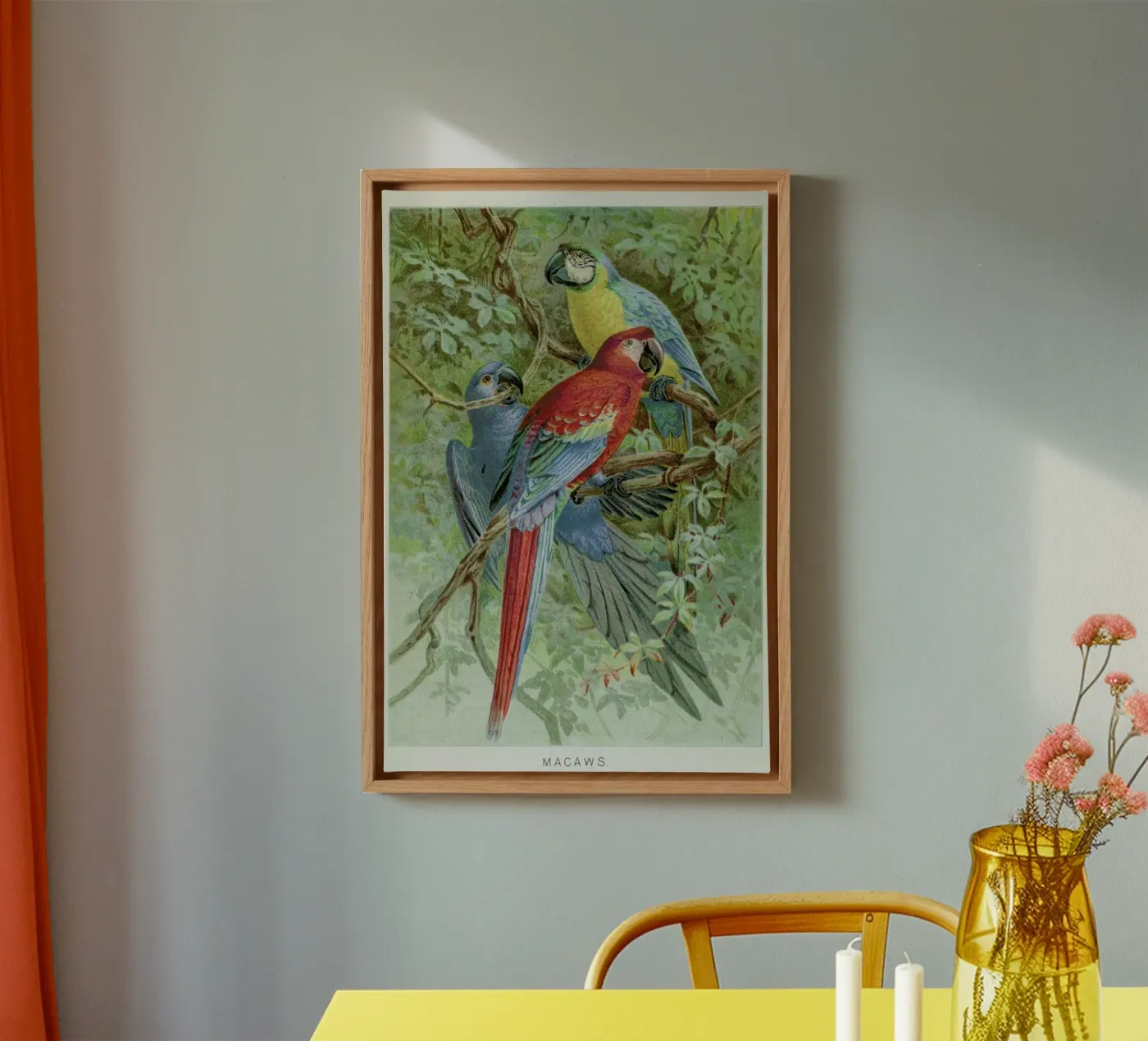 Macaws toile de Flora & Fauna
