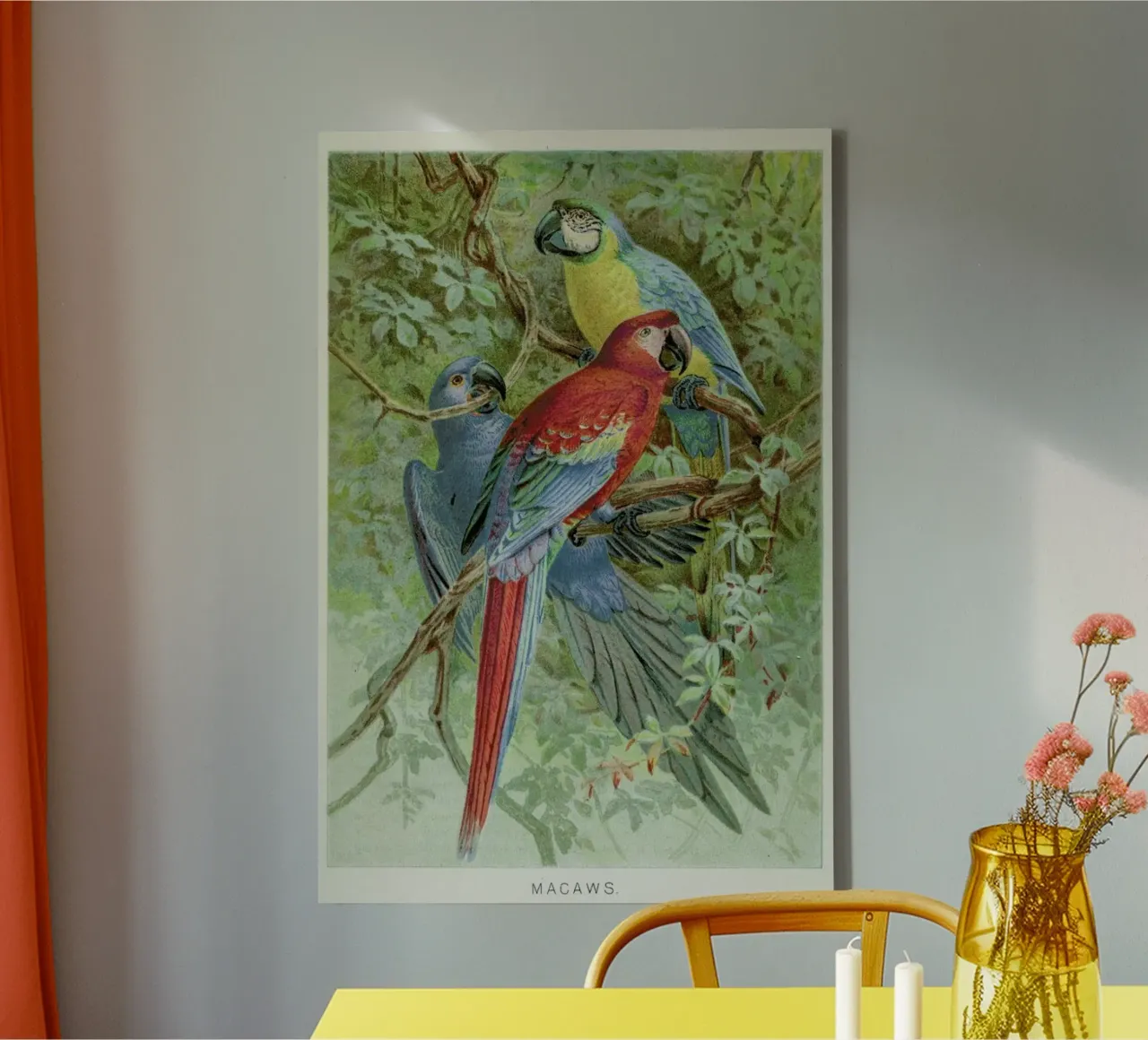 Macaws canvas by Flora & Fauna