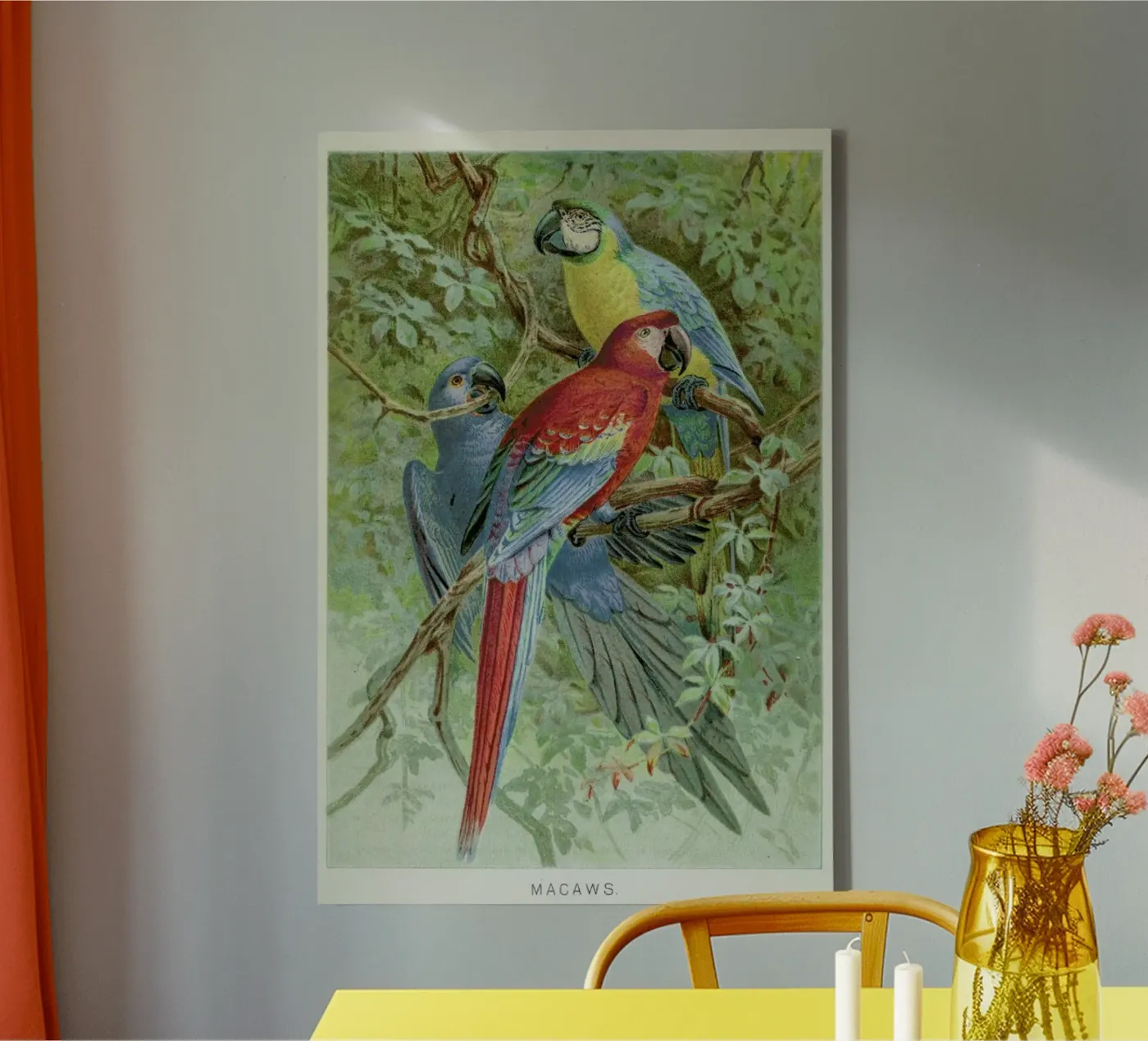 Macaws toile de Flora & Fauna