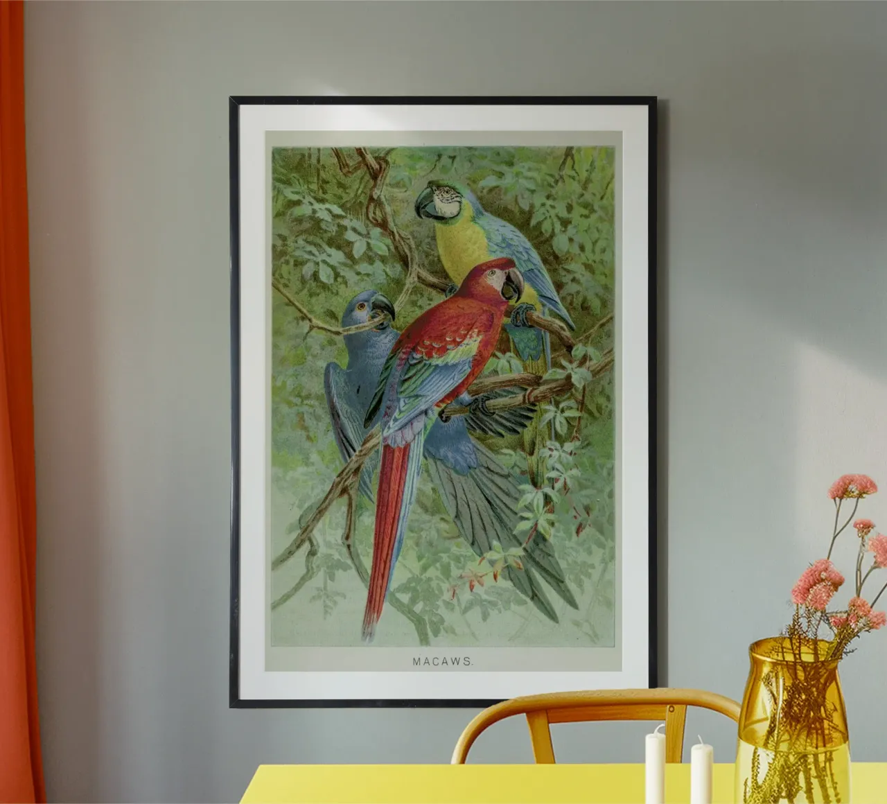 Macaws poster de Flora & Fauna