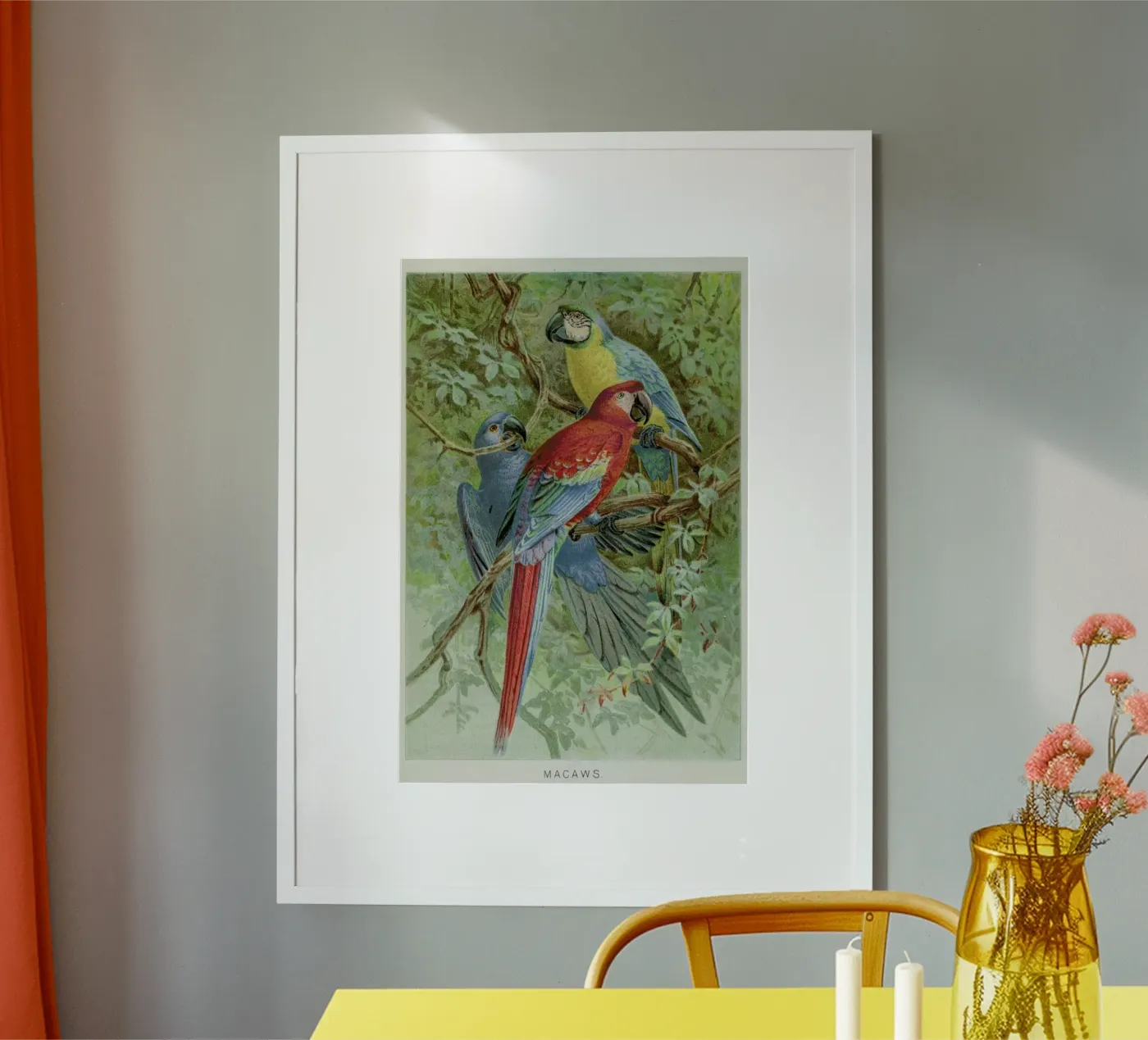 Macaws poster da Flora & Fauna