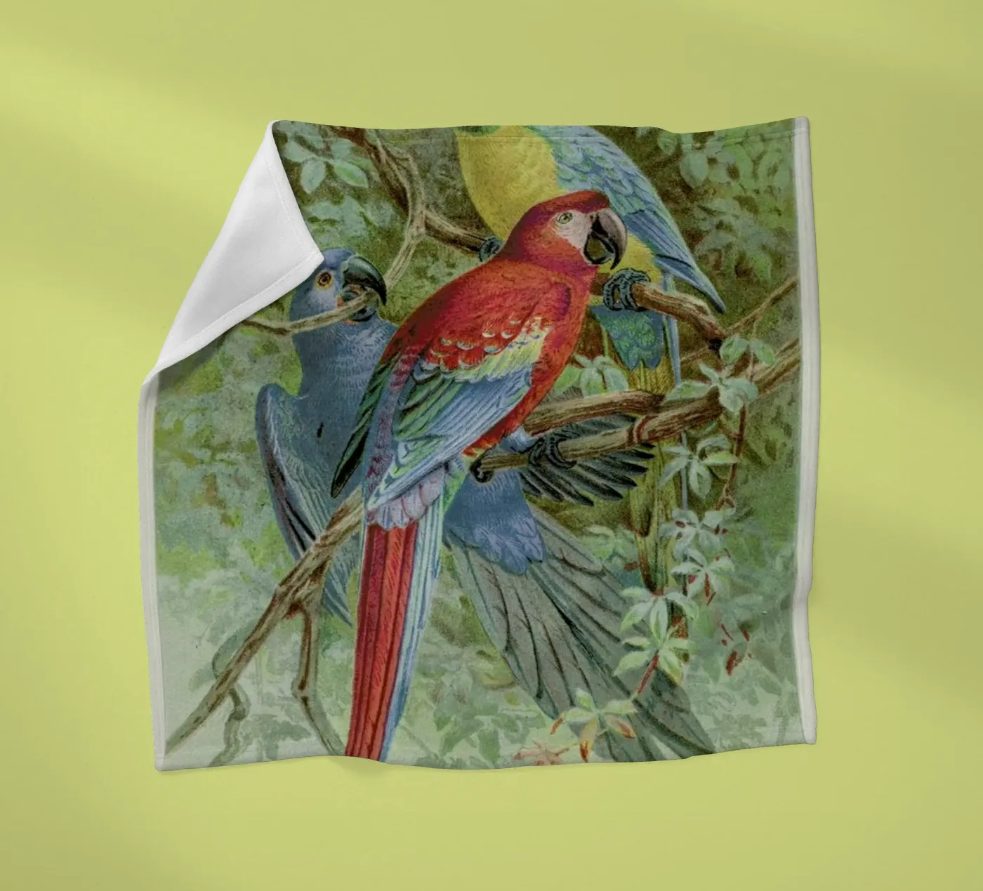 Macaws coperta in pile da Flora & Fauna