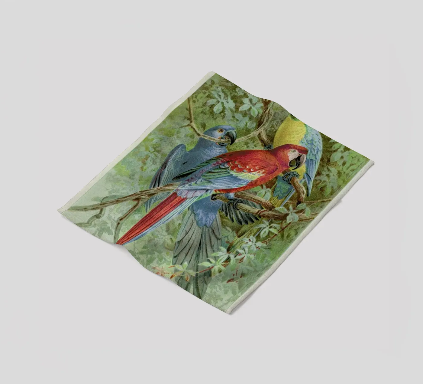 Macaws coperta in pile da Flora & Fauna