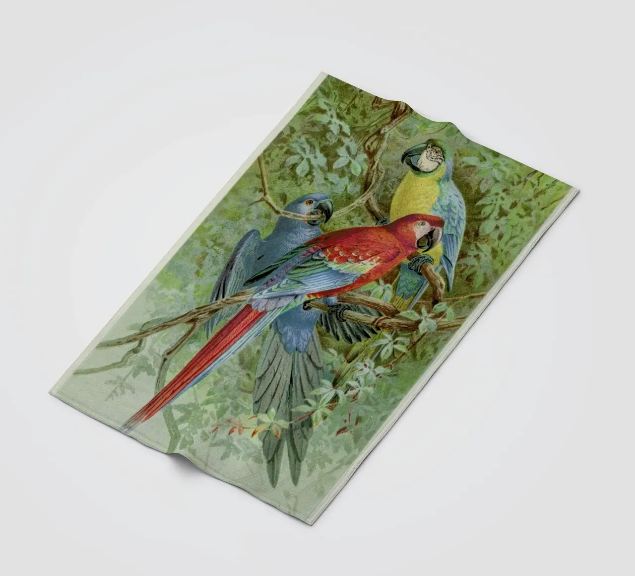 Macaws coperta in pile da Flora & Fauna