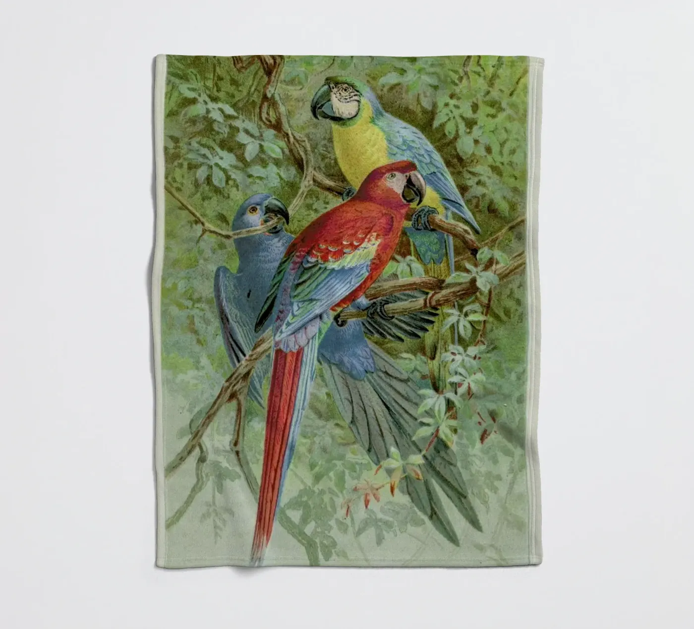 Macaws coperta in pile da Flora & Fauna