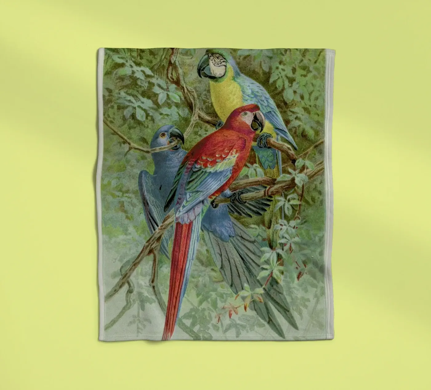 Macaws coperta in pile da Flora & Fauna