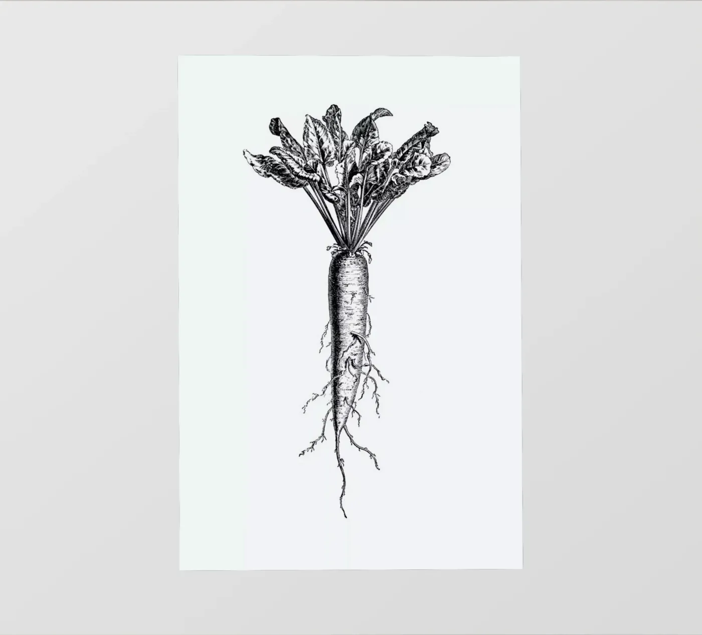 Beetroot bâche pvc de Flora & Fauna