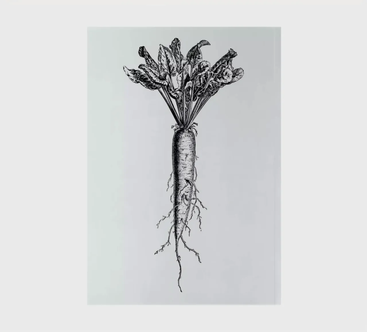 Beetroot notebook by Flora & Fauna