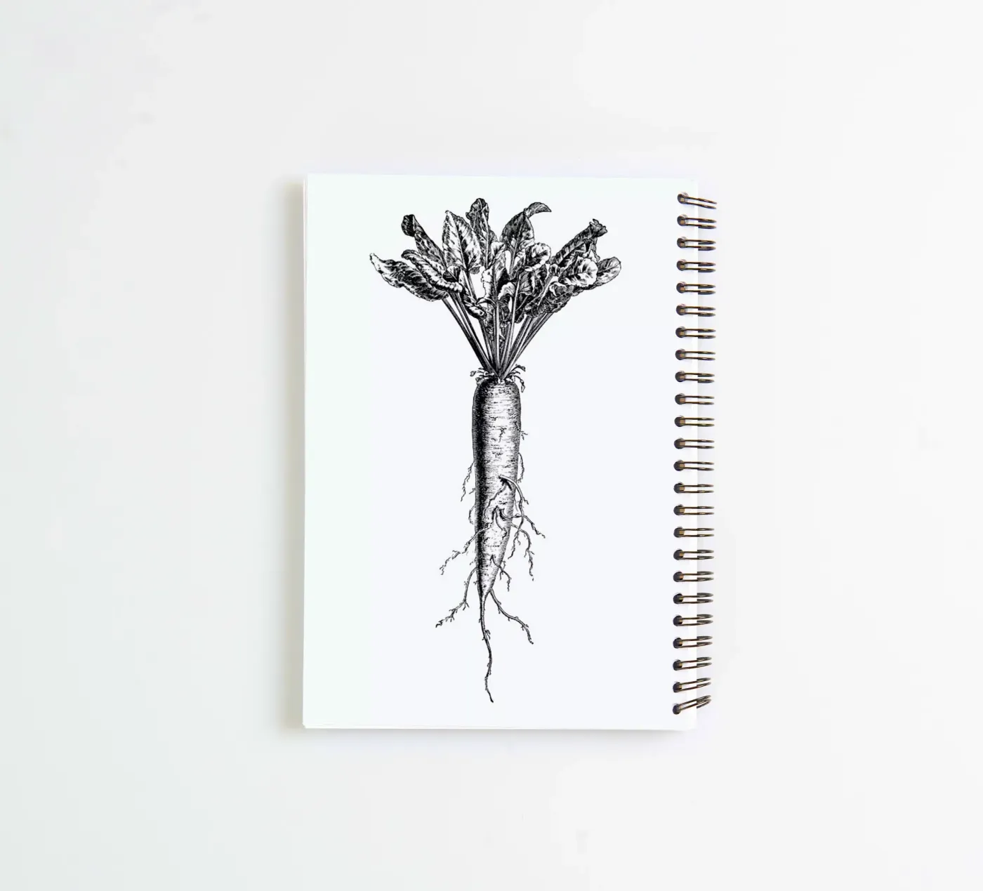 Beetroot Ringbuch von Flora & Fauna