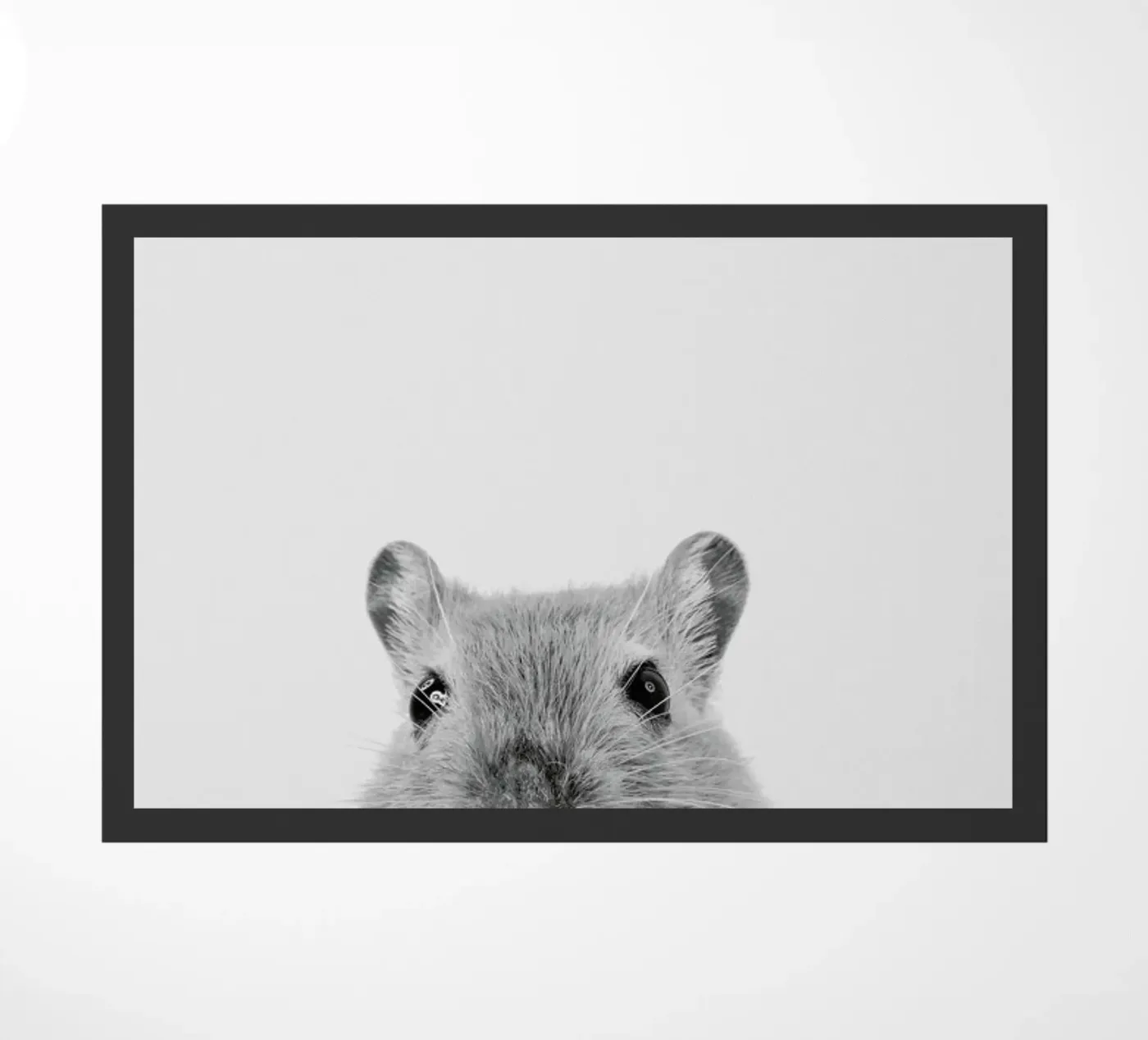 Mouse II zerbino da Paws & Claws