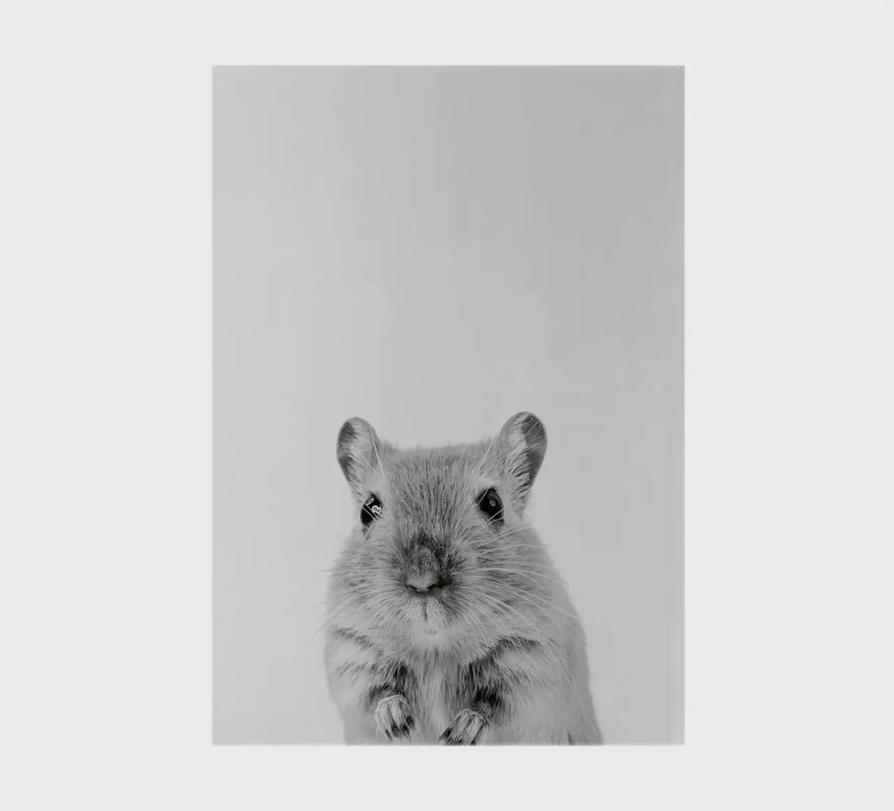 Mouse II notebook by Paws & Claws