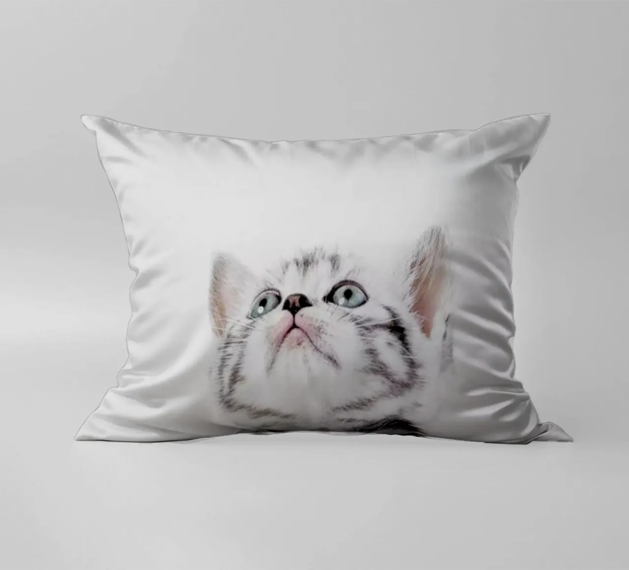 Kitten cuscino da Paws & Claws