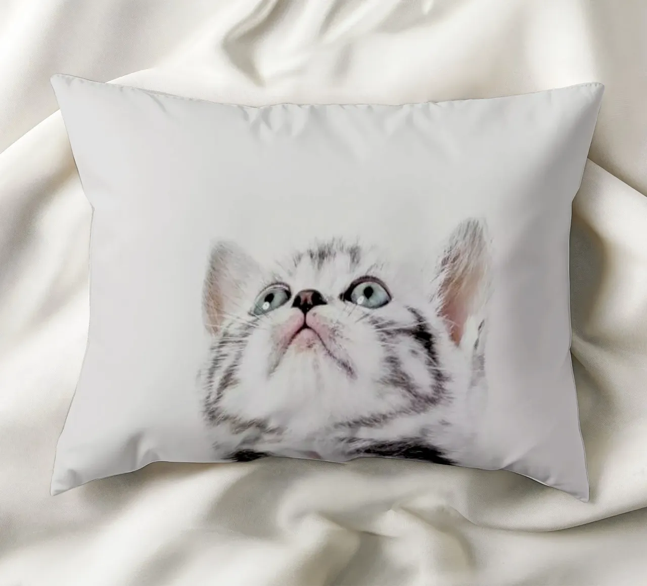 Kitten cuscino da Paws & Claws