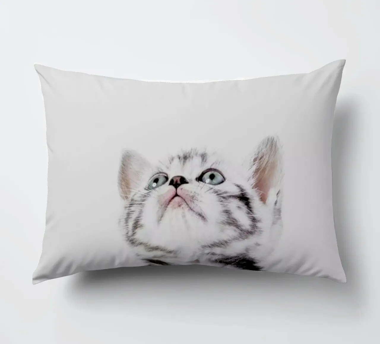 Kitten cuscino da Paws & Claws